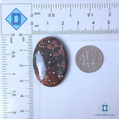 Natural Ocean Jasper Gemstone  Oval Cabochons 33*23*6mm from Madagascar  available for sale