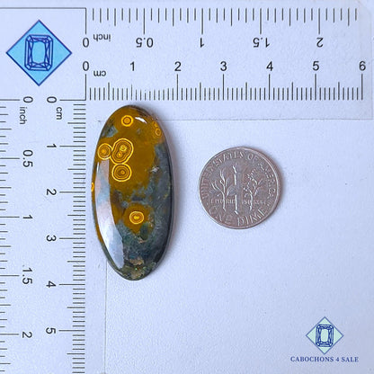 Cabujones ovalados de jaspe oceánico natural de 38 x 18 x 5 mm de Madagascar, disponibles para la venta.