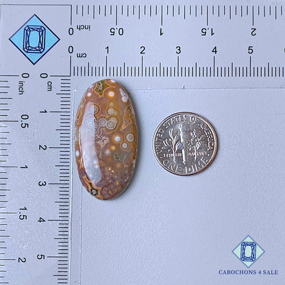 Natural Ocean Jasper Gemstone Oval Cabochons 33*18*6mm from Madagascar  available for sale