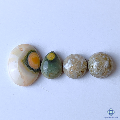 Ocean Jasper