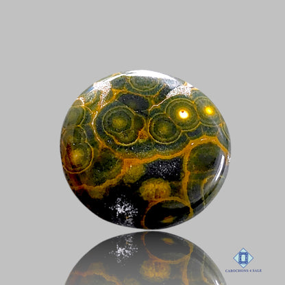 Ocean Jasper