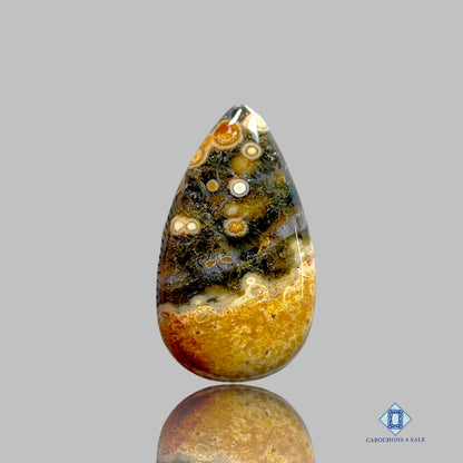 Ocean Jasper