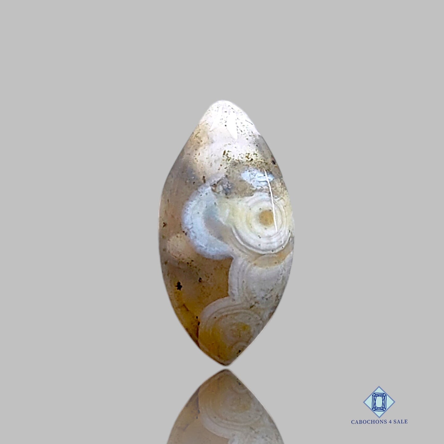 Ocean Jasper