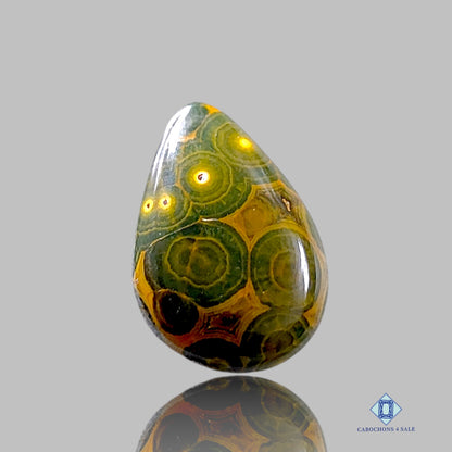 Ocean Jasper