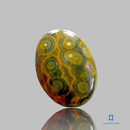 Ocean Jasper