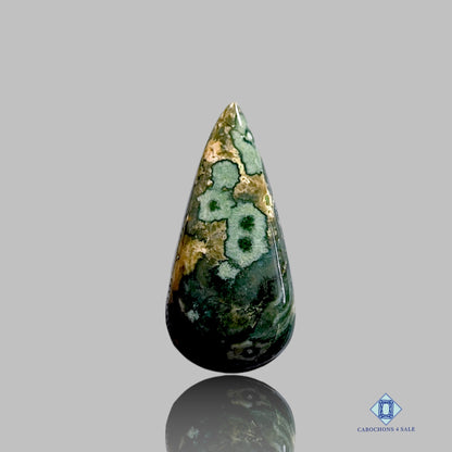 Ocean Jasper