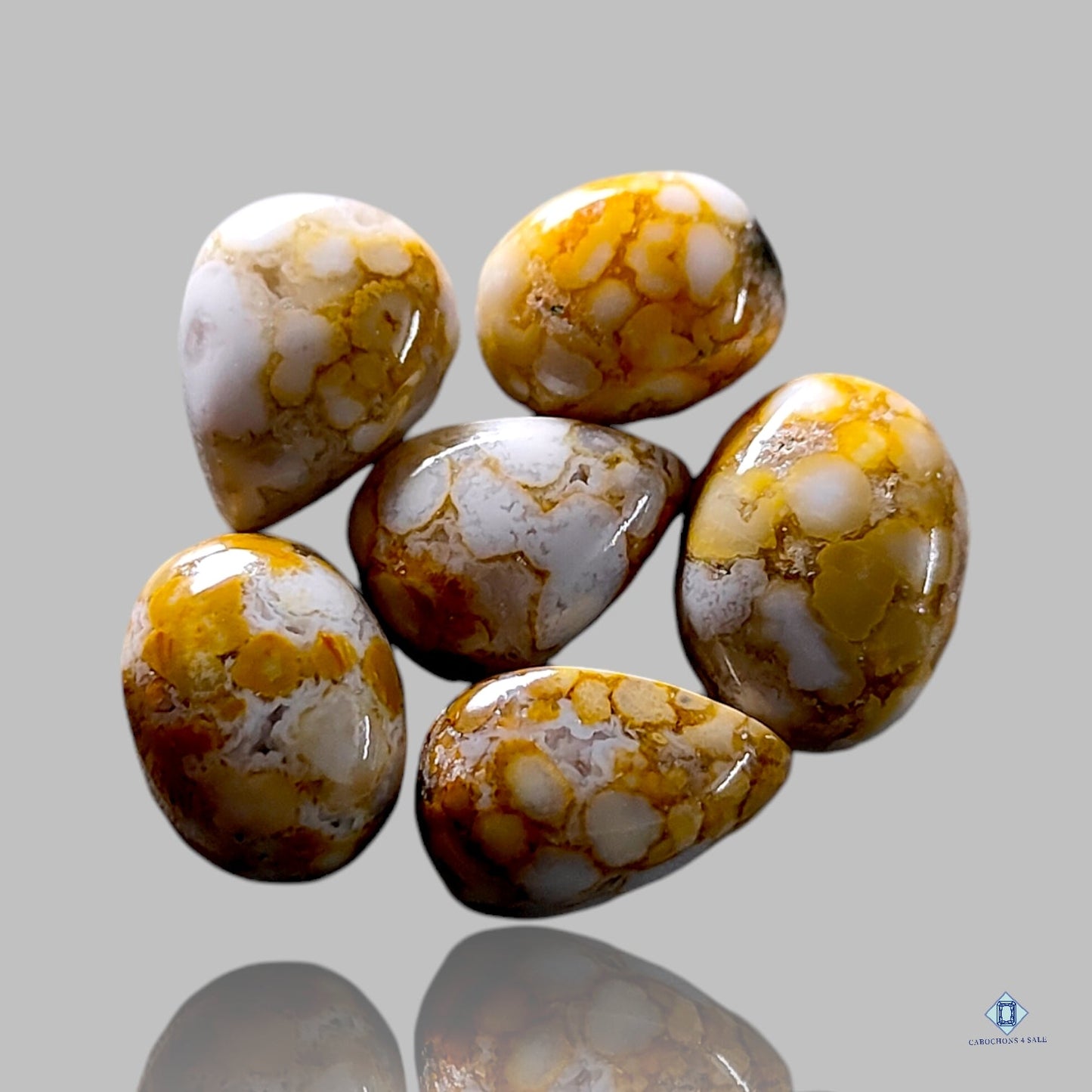 Ocean Jasper