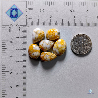 Ocean Jasper