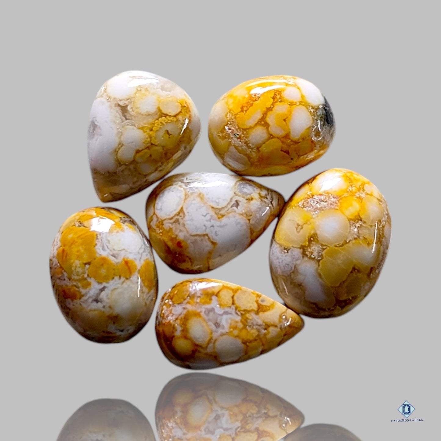 Ocean Jasper