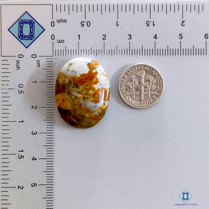 Ocean Jasper Oval Cabochons