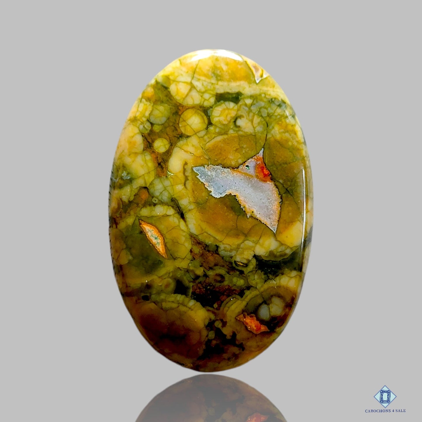 Ocean Jasper