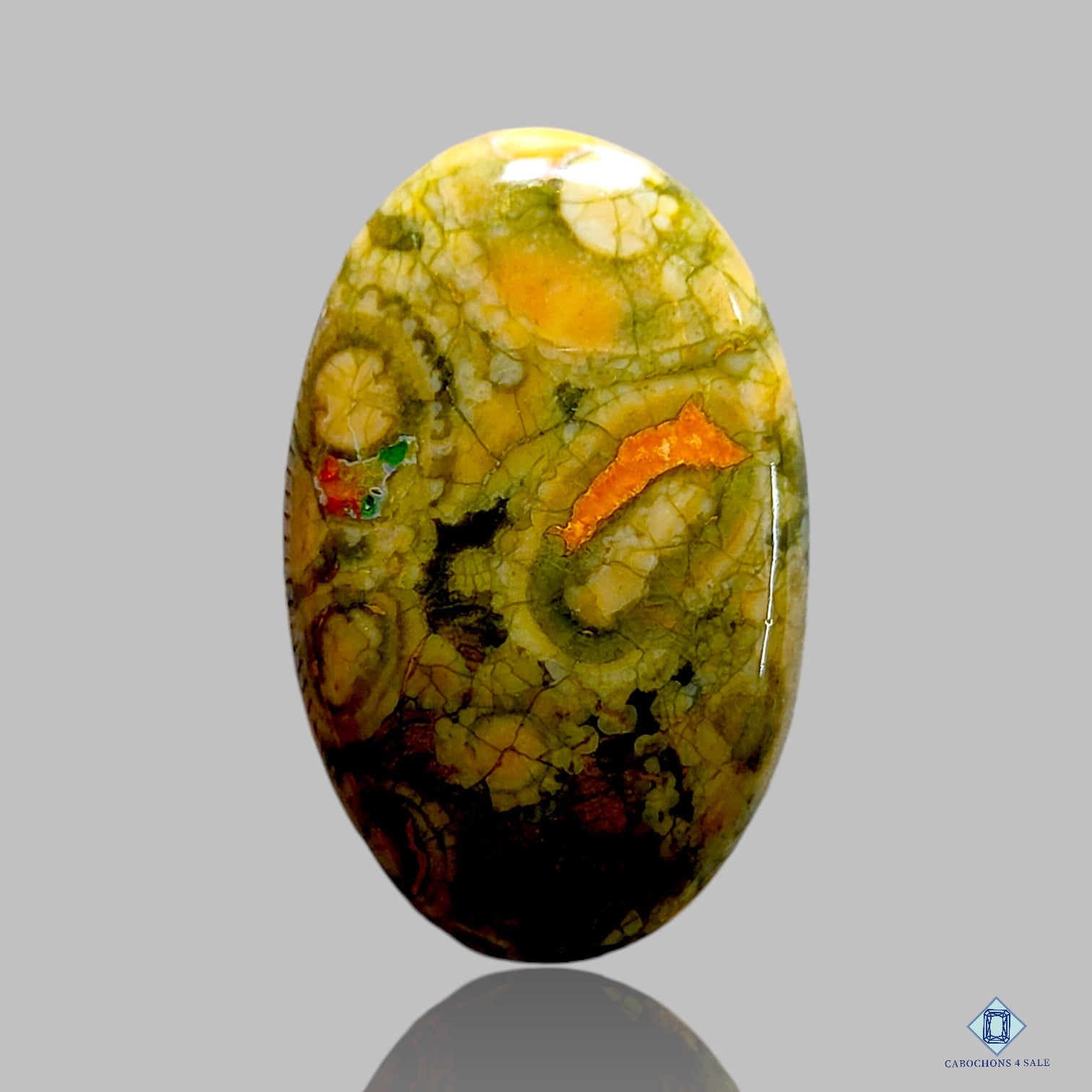 Ocean Jasper