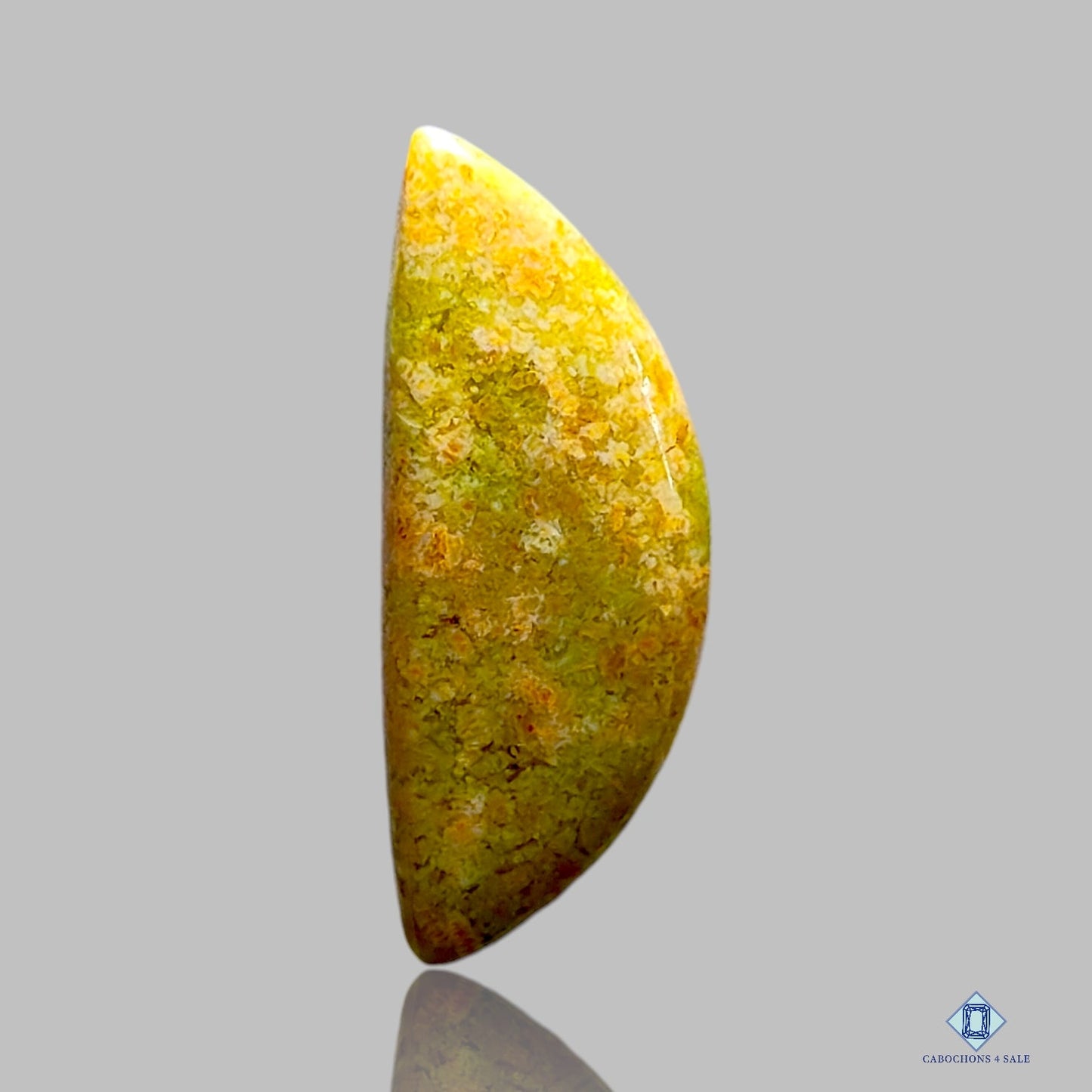 Ocean Jasper