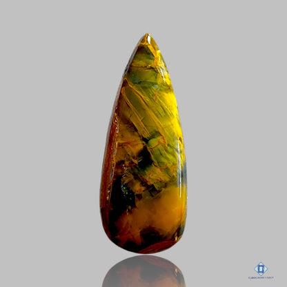 Ocean Jasper