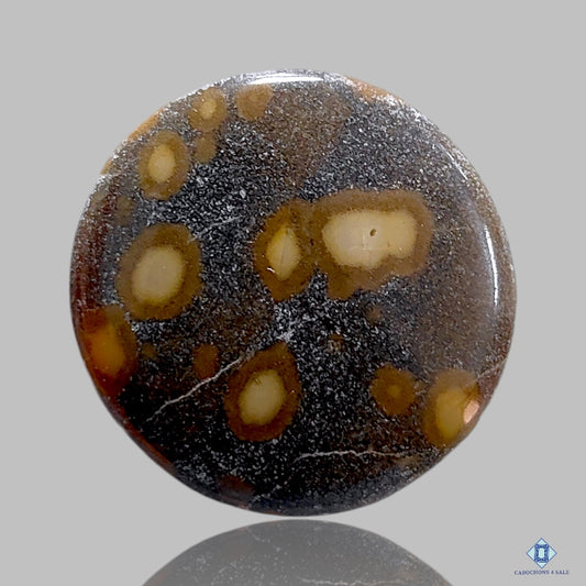 Ocean Jasper