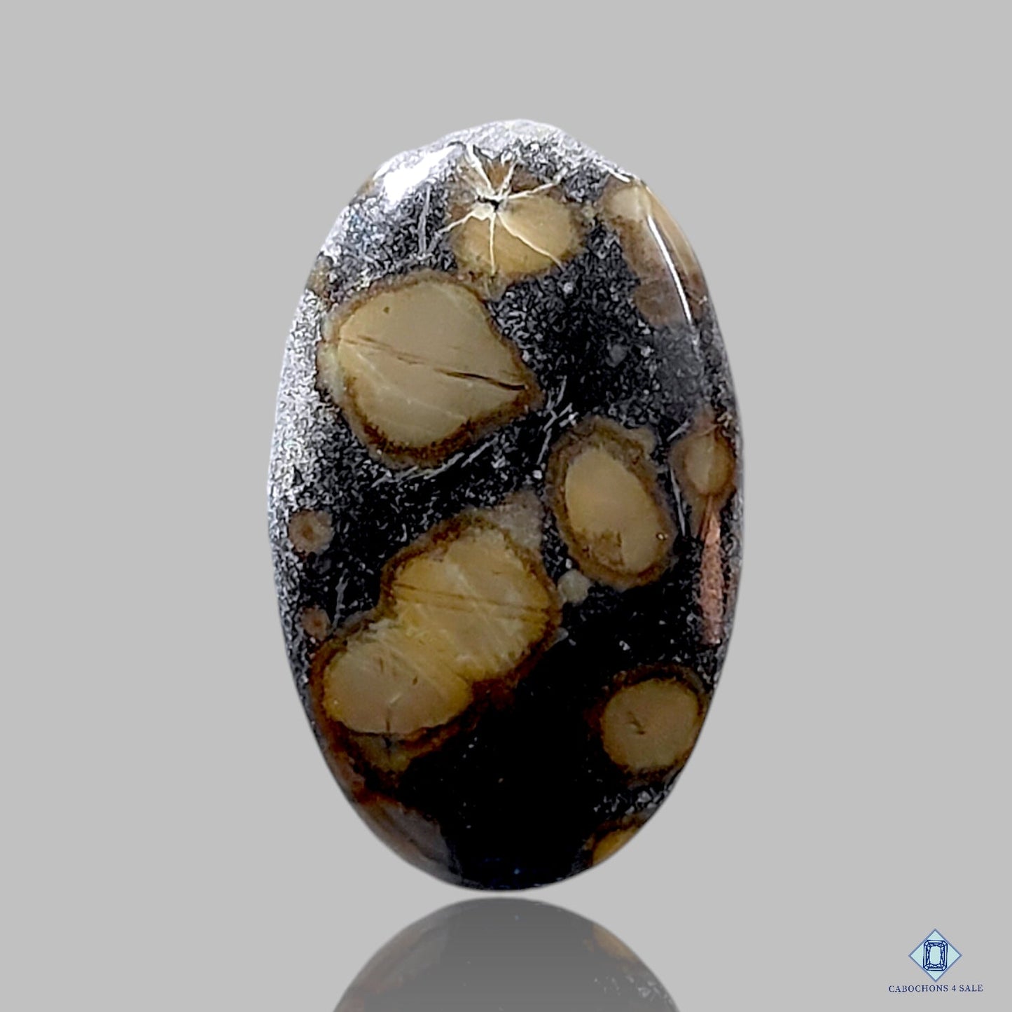 Ocean Jasper