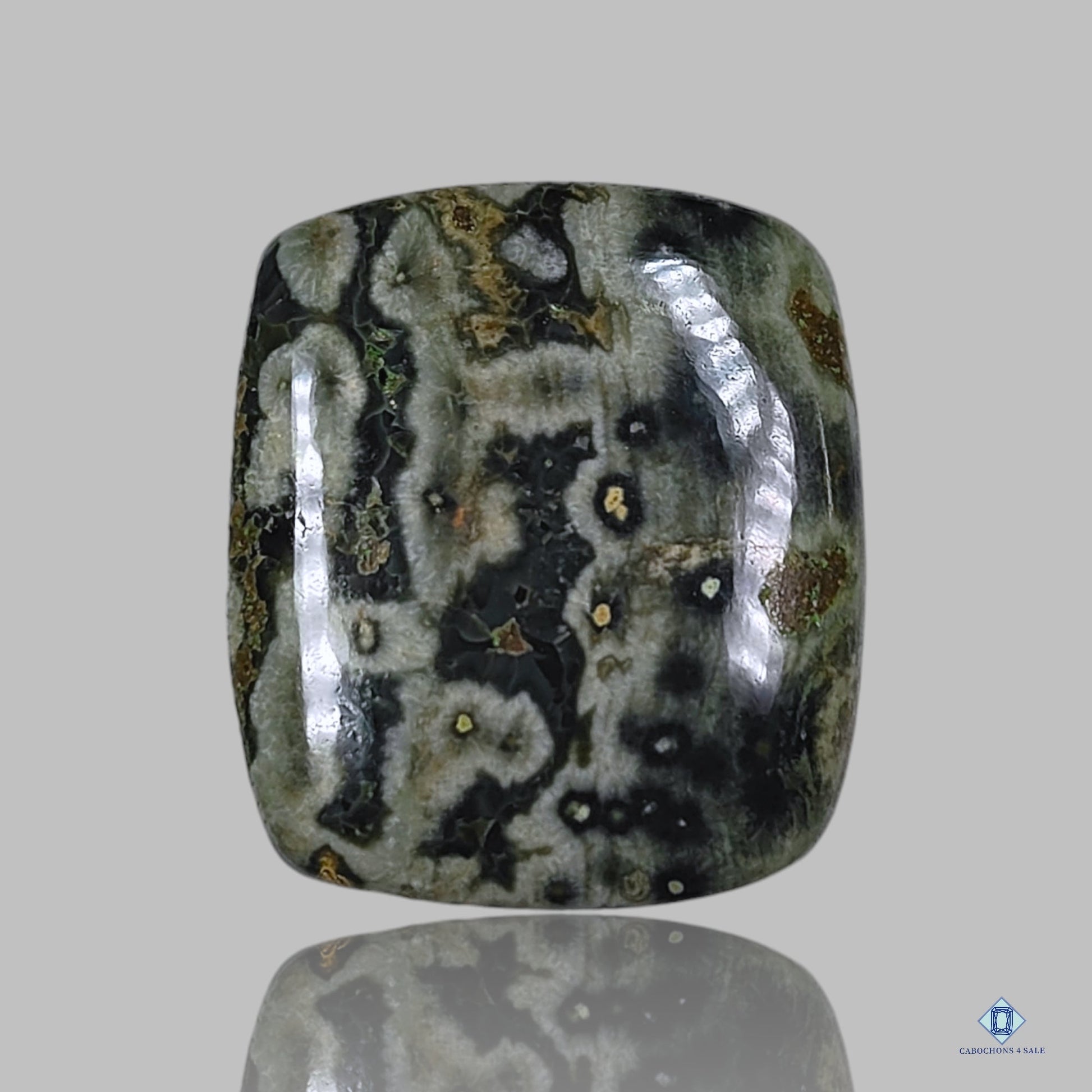 Ocean Jasper