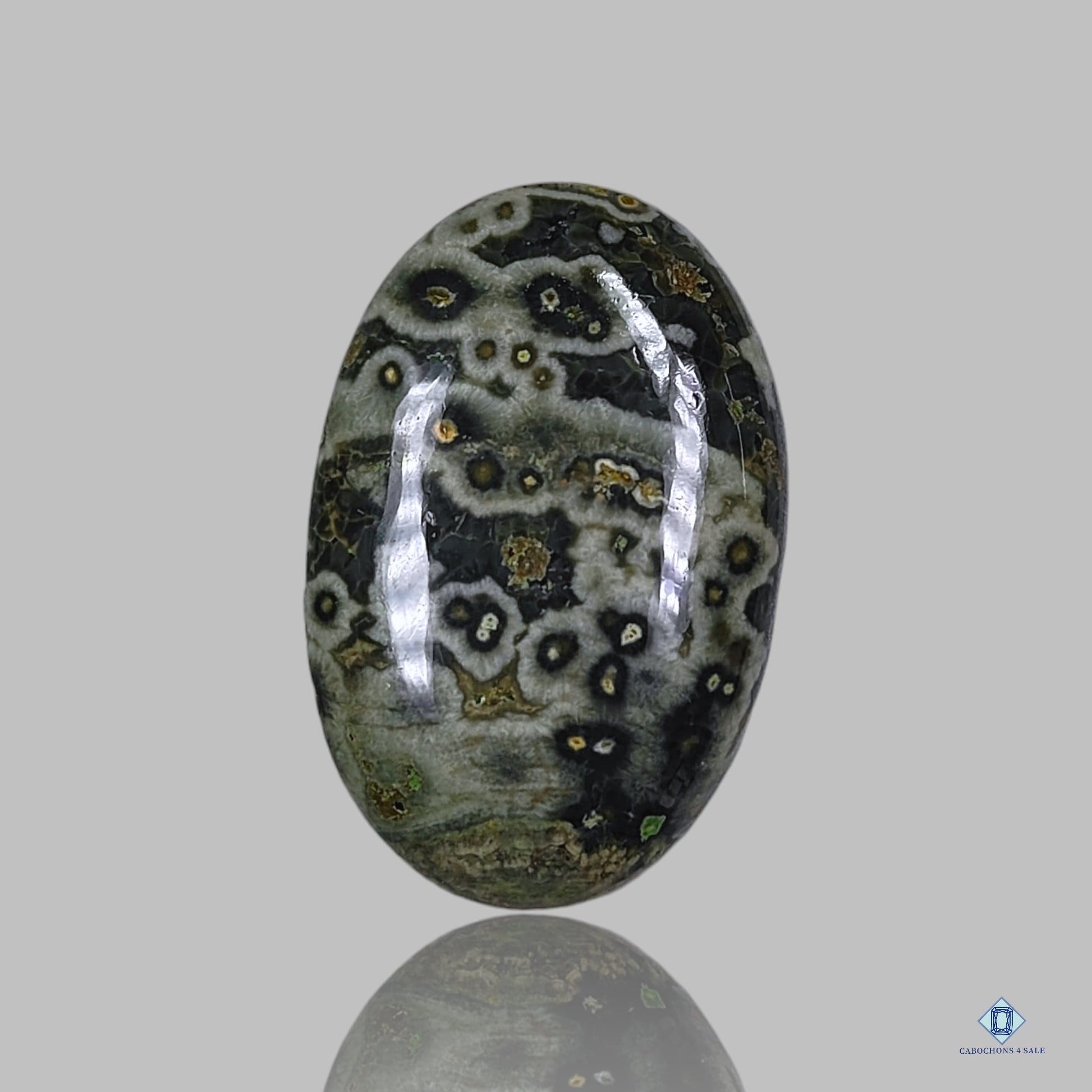 Ocean Jasper