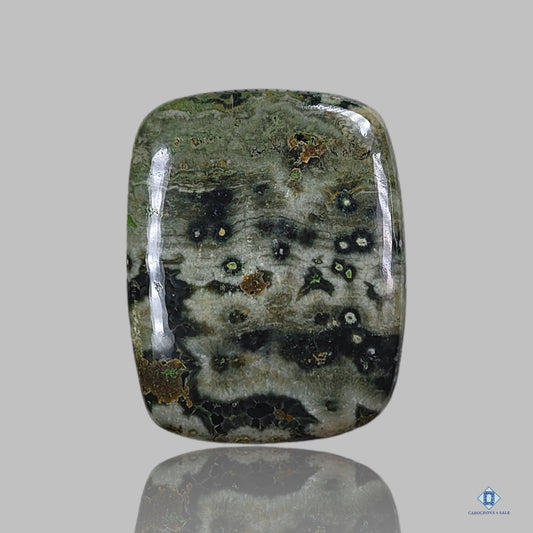 Ocean Jasper