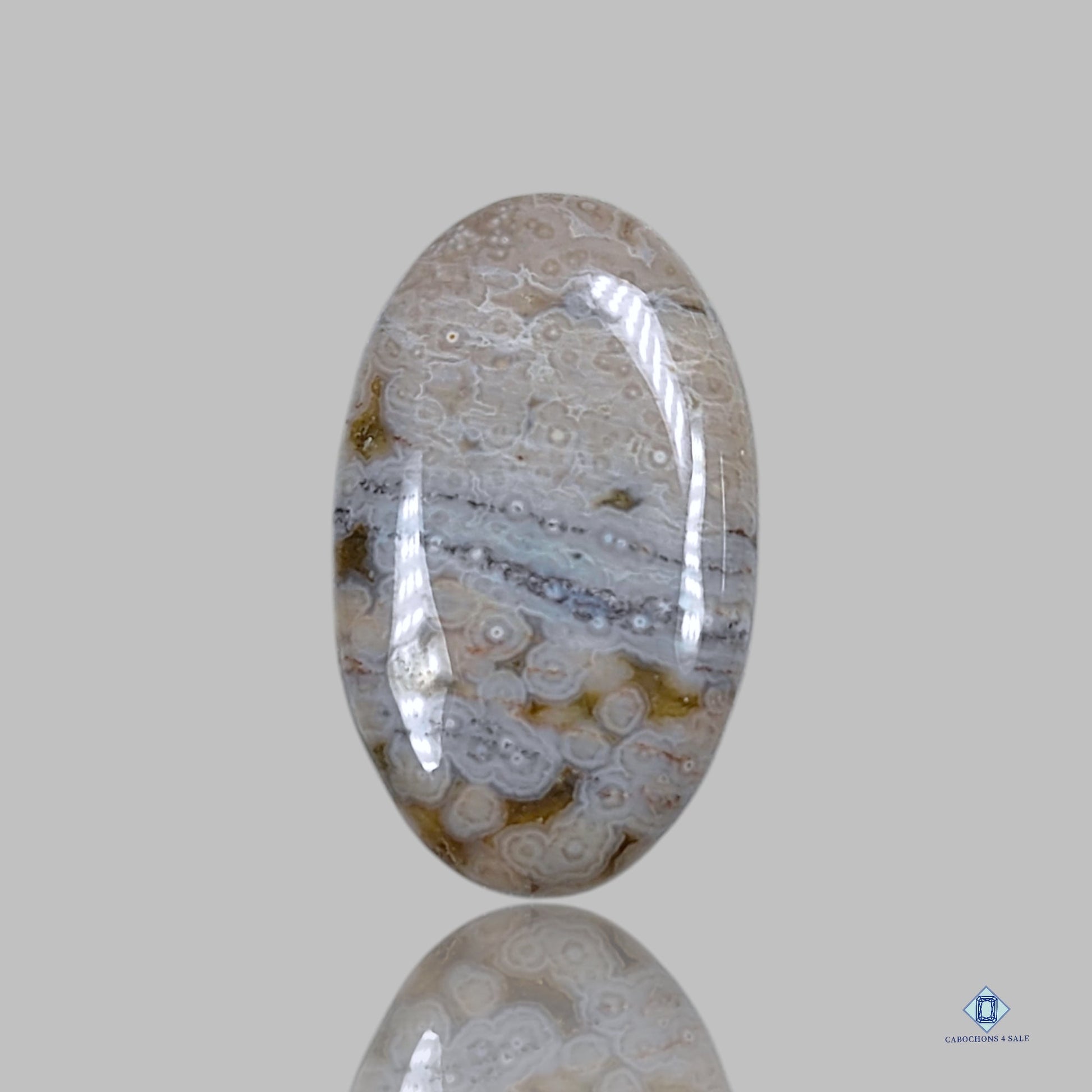 Orbicular Ocean Jasper