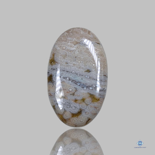 Orbicular Ocean Jasper