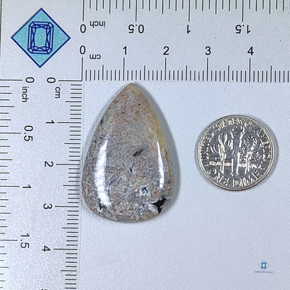 Ocean Jasper Pear Cabochons