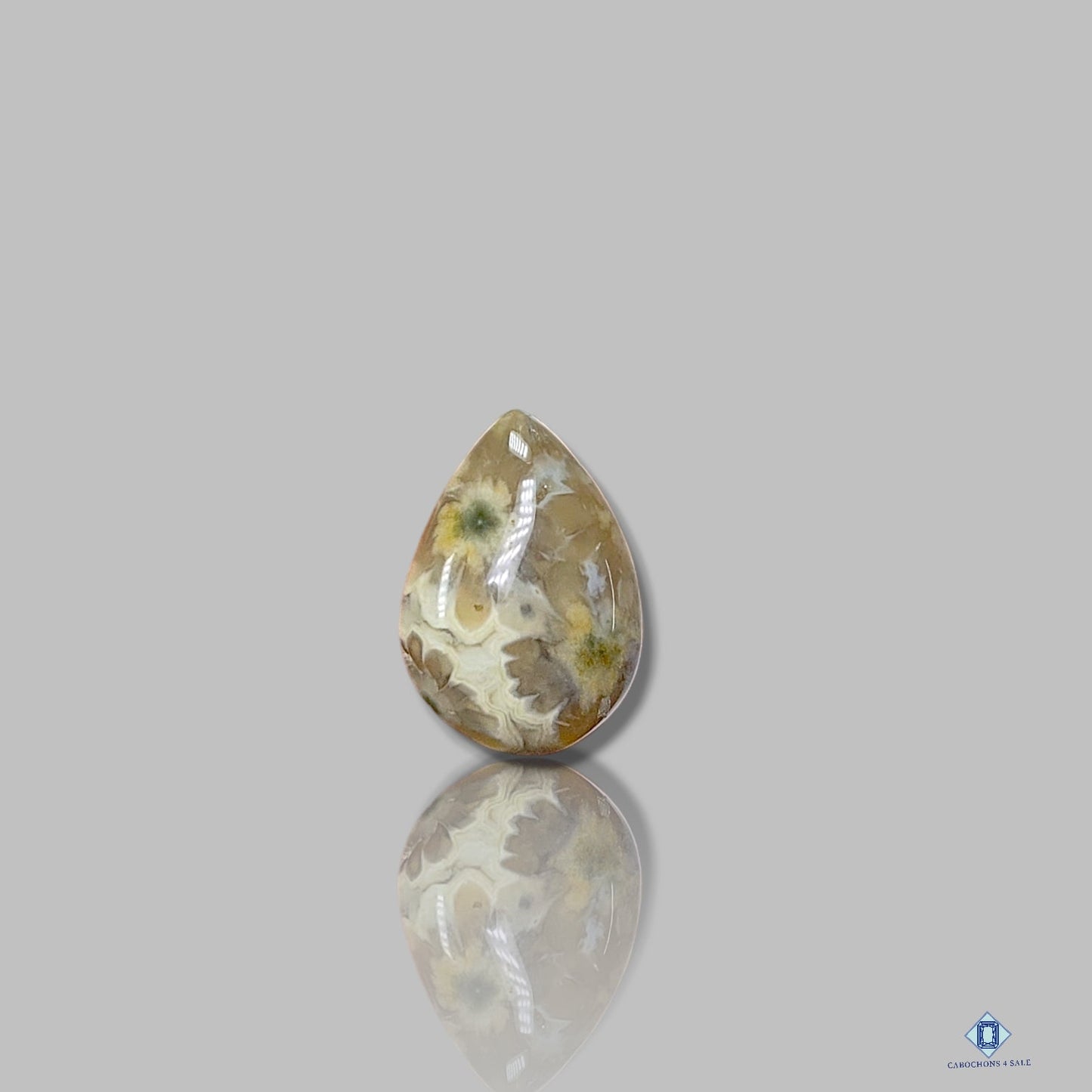 Ocean Jasper