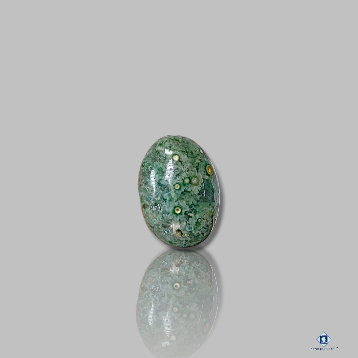 Ocean Jasper