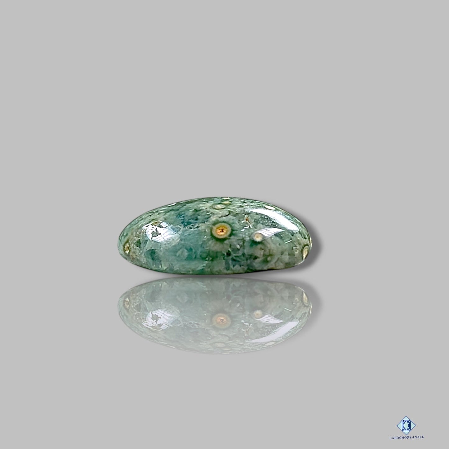 Ocean Jasper Oval Cabochons