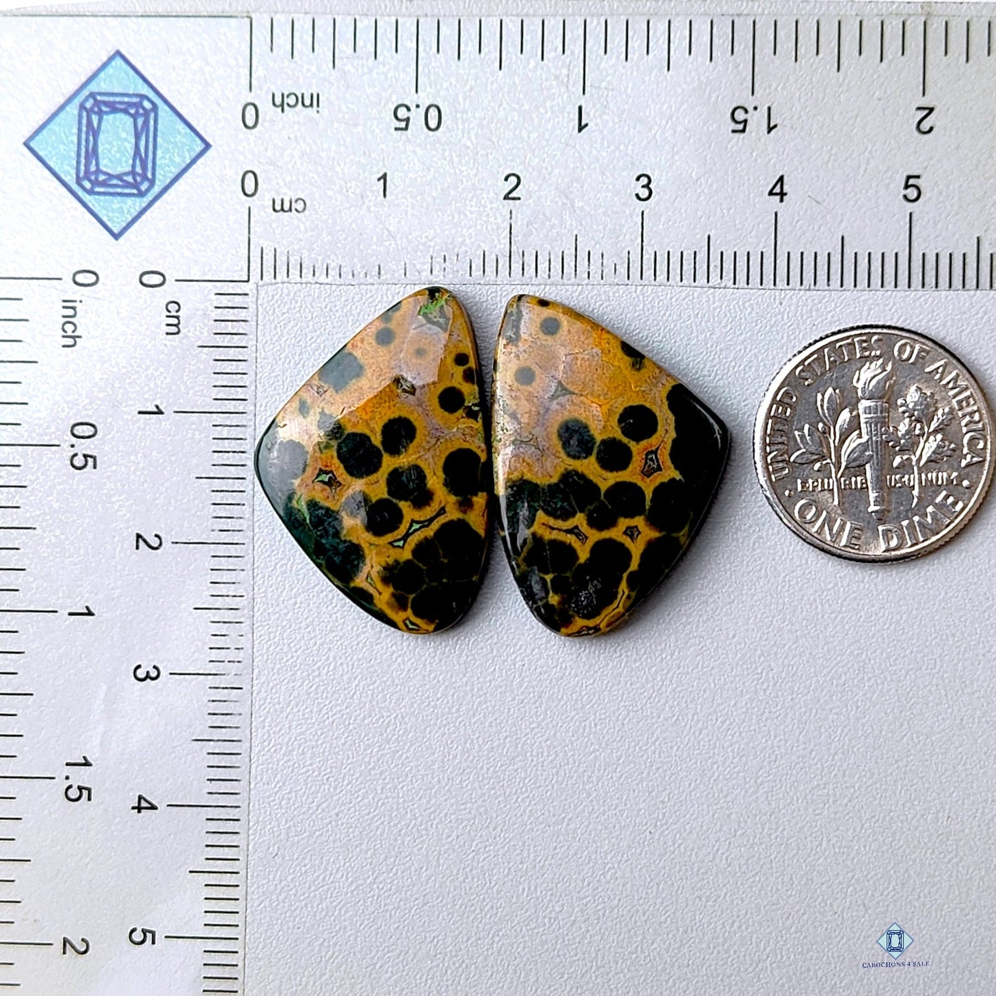 Ocean Jasper Fancy Pairs