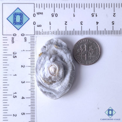 Ocos Geode