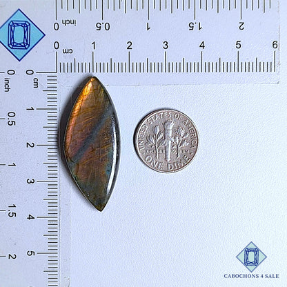 Cabujones de labradorita multicolor natural de 37 x 15 x 5 mm de Madagascar, disponibles para la venta.