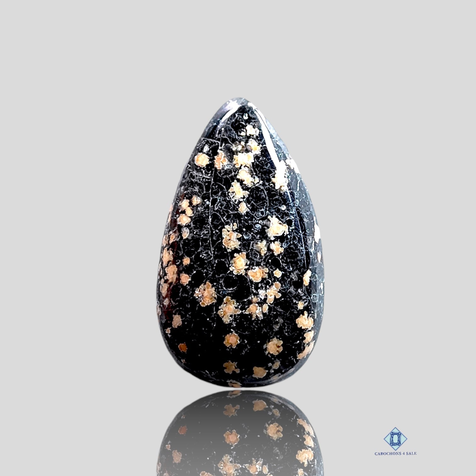 Orbicular_Jasper-c4sw1835-Pear-Black-Cabochons