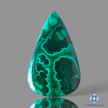 Orbicular Malachite