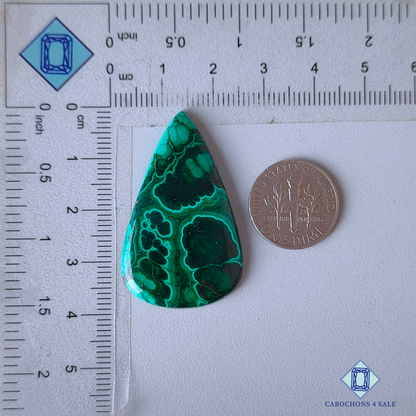 Orbicular Malachite