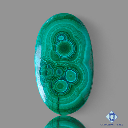 Orbicular Malachite