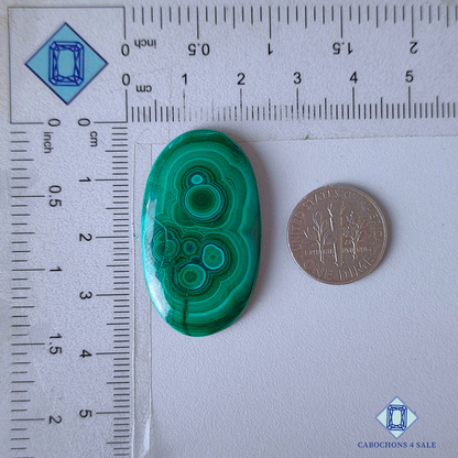 Orbicular Malachite