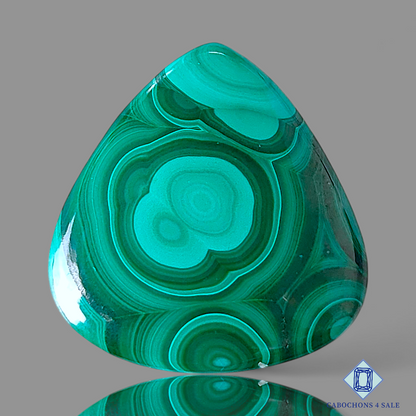 Orbicular Malachite