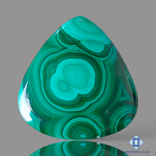Orbicular Malachite