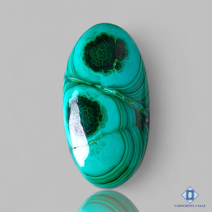 Orbicular Malachite