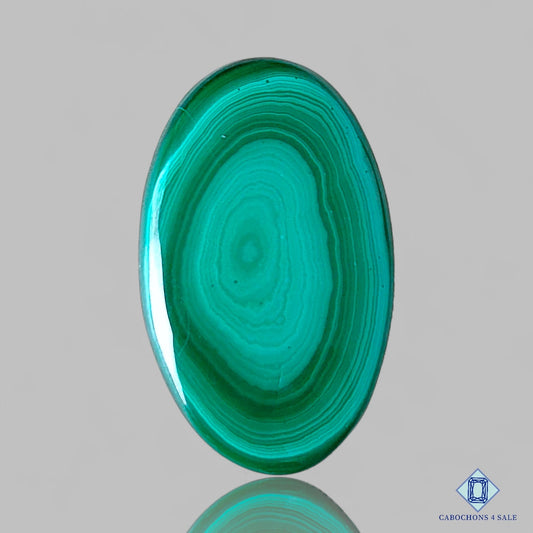 Orbicular Malachite