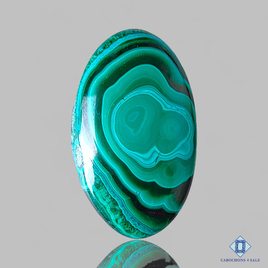 Orbicular Malachite