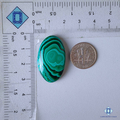 Orbicular Malachite