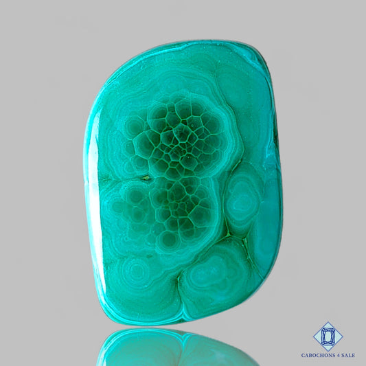 Orbicular Malachite