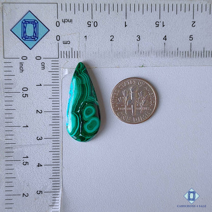 Orbicular Malachite