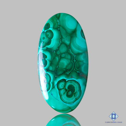 Orbicular Malachite
