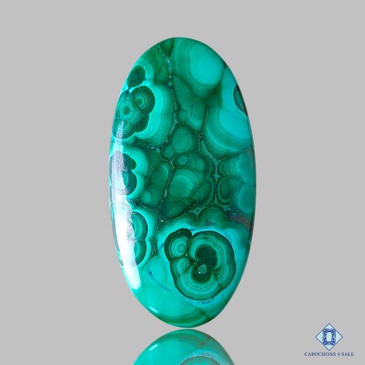 Orbicular Malachite