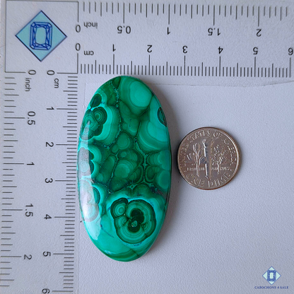 Orbicular Malachite
