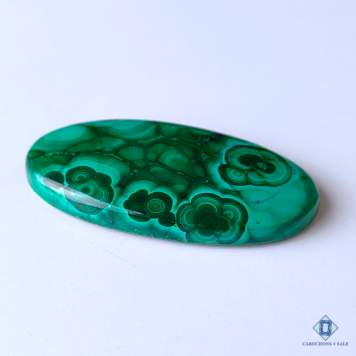 Orbicular Malachite