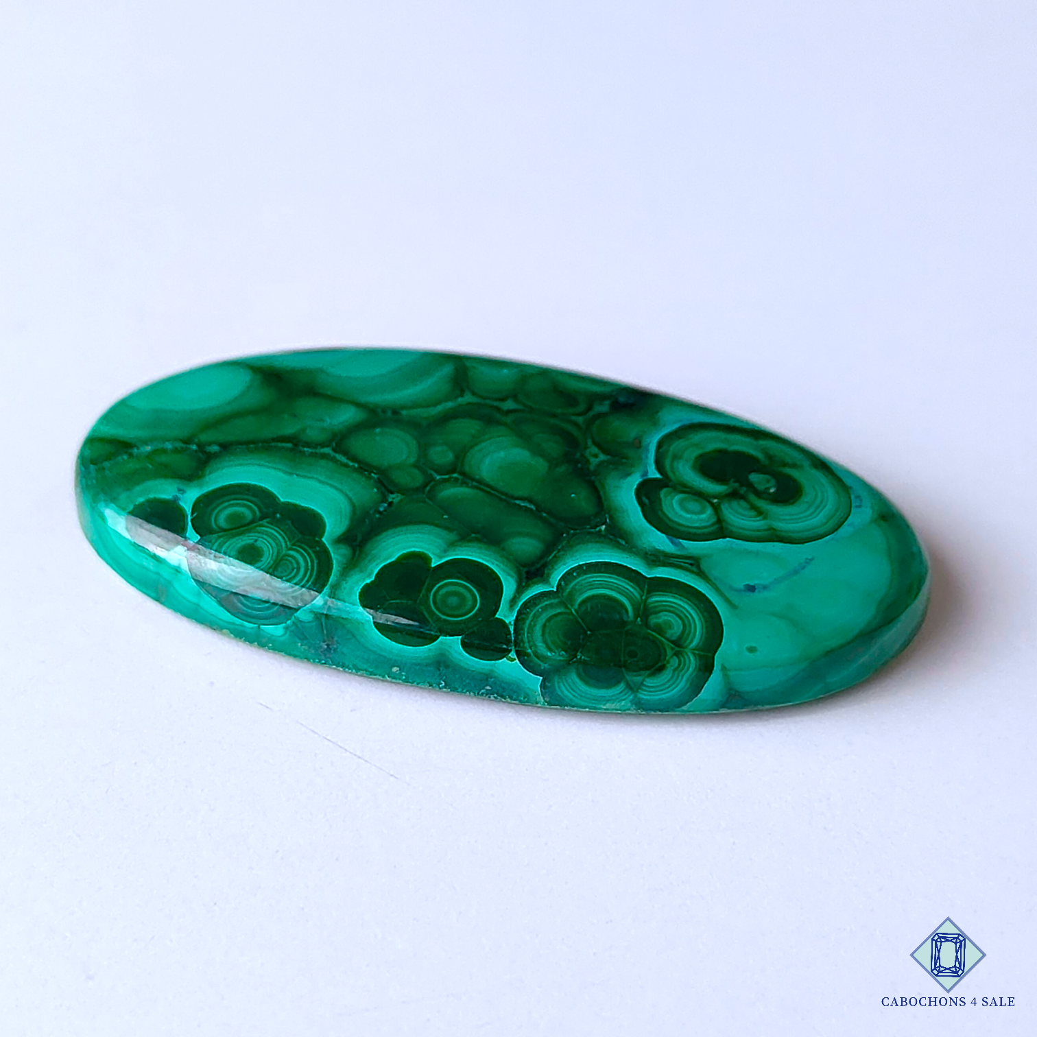 Orbicular Malachite